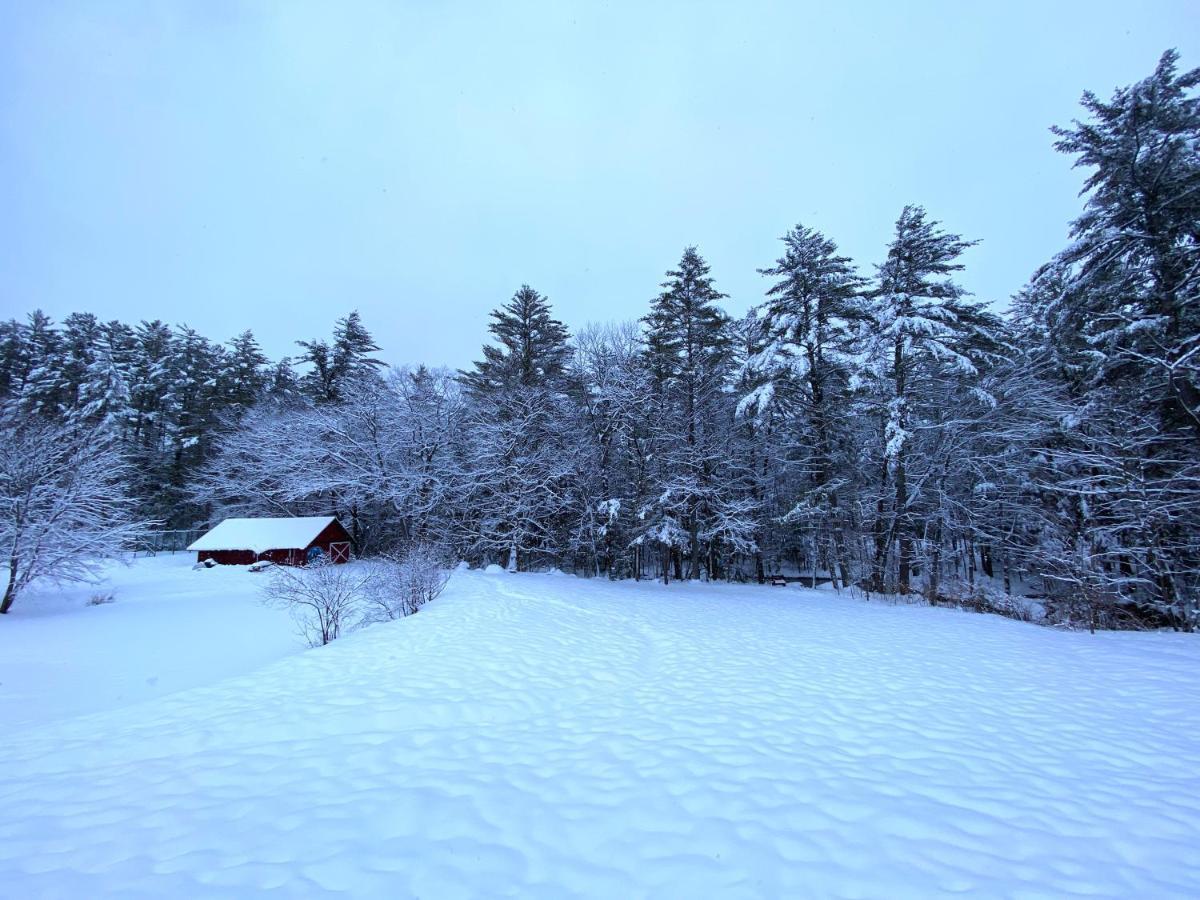 Cranmore Mountain Lodge Bed & Breakfast North Conway Dış mekan fotoğraf